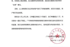 消费者投诉影豹天窗“疑似生锈”，传祺回应称“是胶水变色了”图片