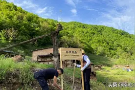买一瓶正经真蜂蜜有多难？怎么挑选？哪里买？图片