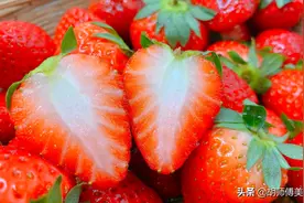 打了“激素”的草莓怎样辨认？老果农：教你一招，看一眼就能区别图片