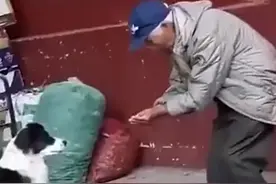 拾荒老爷爷用手给狗狗喂水喝，最美丽的风景就是内心的善良图片