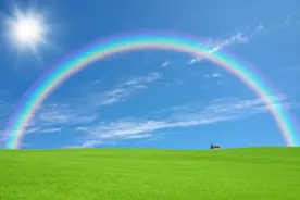 机缘巧合皆有因图片