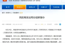 这一飞往天津的航班，熔断图片