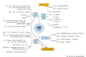 初中物理知识思维导图（建议收藏）图片