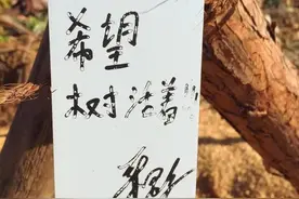 细节最能体现一个人的素质，华晨宇，温柔到了骨子里的明星图片