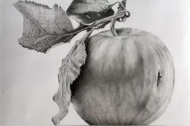 素描常见水果图片