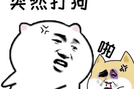 打狗表情包图片