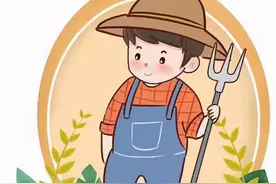 多元和韵，以劳育人—容桂小学优秀寒假劳动实践作业展（三年级）图片