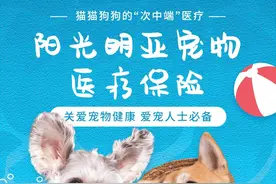 阳光明亚宠物医疗保险图片
