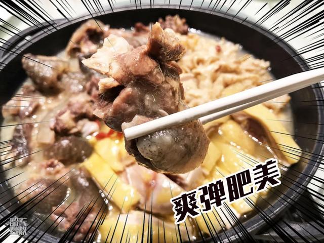 鳄鱼炖花胶功效与作用 2026年鳄鱼炖花胶功效与作用 鳄鱼炖花胶功效与作用 2026年鳄鱼炖花胶功效与作用