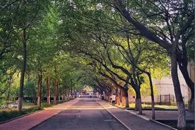 山东师范大学性价比远高于江苏师范大学，然而在山东省投档线一致图片