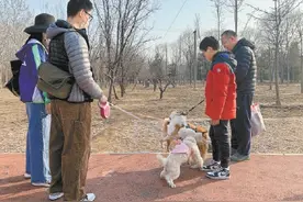 健身步道成了“遛狗道”？郊野公园景色美，管理不能掉链子图片