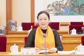 全国人大代表成新湘：关注传统文化，推动“非遗+”创新创业图片