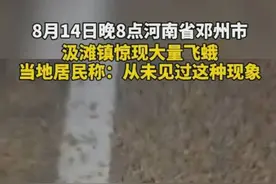 河南邓州惊现大量蜉蝣！居民称从未见过这种现象，天气要大变了？图片
