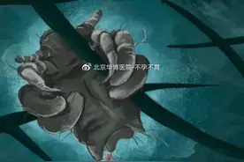 有瘙痒、皮疹、血痂、淤斑症状可点，其他慎入图片