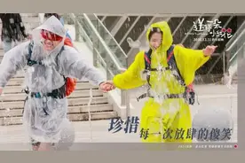 《小红花》没抄袭也涉嫌侵权？迪士尼法务可能出动图片