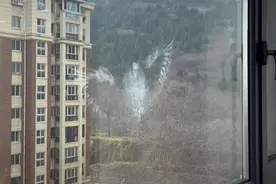 【民生热点】济南一居民家刚擦的玻璃，突然出现这个！好笑又心疼图片