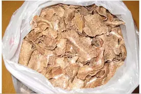 如何将花生麸制作成有机液肥？加好菌，发酵仅需15天图片