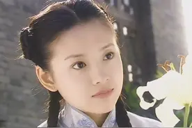 "双面玉女”董洁幻灭史图片