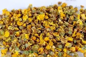 中医曝光：枸杞、菊花、红枣一起泡水喝，会产生什么功效？图片