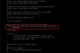 玩客云系列3之debian安装WEB环境nmp(下)图片