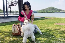 祖儿外出踏青绿洲晒美照，粉毛衣配高腰牛仔裤活力十足图片