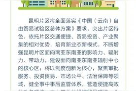 一图看懂“中国（云南）自由贸易试验区昆明片区”图片