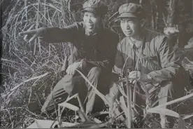 炮一师“光荣在党五十年”师首长专集图片