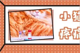 如何识别猫咪是否隐藏疼痛？别忽视猫病的早期警告图片