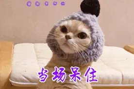奇葩反转！67岁女子持斧袭击40岁男子，受审期间两人竟结婚了…图片