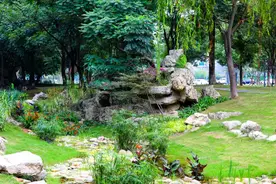 天府大道，变了图片