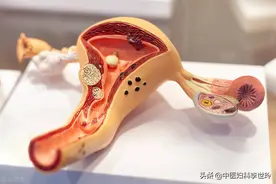 得了子宫肌瘤就不能生健康的宝宝？中药调理给宝宝一个健康的房间图片