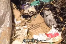“你们吸毒的偶像可以复出，我们牺牲的战友可以复活吗？”图片
