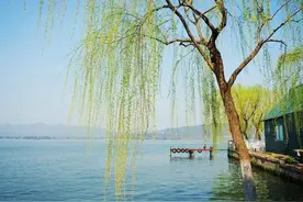 春到枝枝是绿丝，十二首咏柳的诗词，感受春天的勃勃生机图片