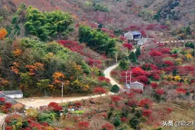 宁波居然还有被尘世遗忘的村落，通村泥石路，通讯无信号图片