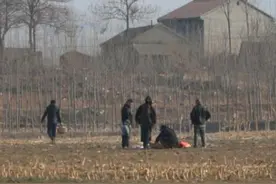 农村老话：人过5代另起坟，房过3代必走人，是啥意思？图片