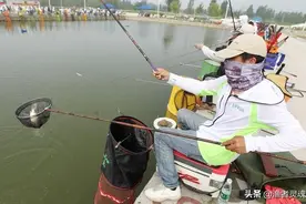 黑坑中一个特别的钓位，揭秘“大边”如何垂钓图片
