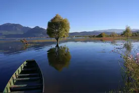 丽江——拉市海湿地公园图片