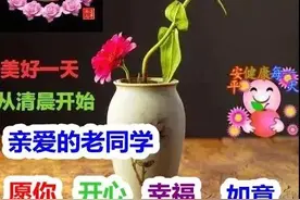 美女表情包：人人都有自尊，人人都有自己的想法，互相尊重图片