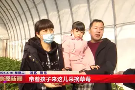 云游沁源过大年 草莓飘香庆新春 游客采摘正红火图片