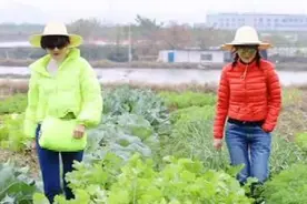 71岁夏台凤晒照，与小32岁王一楠同框似姐妹，活力四射超年轻图片