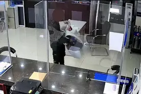 这个“小恐龙”挡风被真好看图片