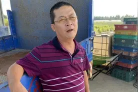 高雄凤梨农看“农林22条”：讲到心坎里 技术或转移大陆图片