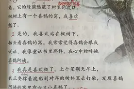 二年级语文下册第九课《枫树上的喜鹊》手抄随堂笔记，复习专用图片