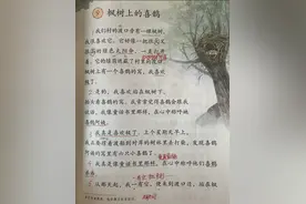 二年级语文下册第九课《枫树上的喜鹊》手抄随堂笔记，复习专用图片