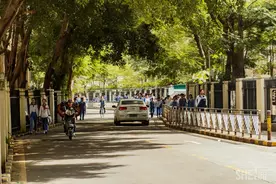 深圳这34所学校，藏了无数人的青春回忆图片
