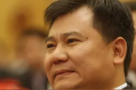 张近东比黄光裕多奋斗了11年，苏宁竟变得如此羸弱图片