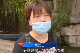 儿子上学后发高烧，家长认为幼儿园要负责：赔偿医药费和误工费图片