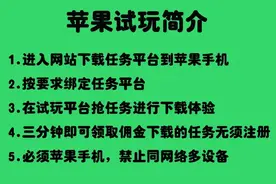 苹果手机APP试玩图片