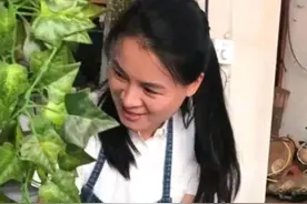 洗剪吹事件的真相，就在朱小贞的手机里和这首《可可托海》歌曲里图片