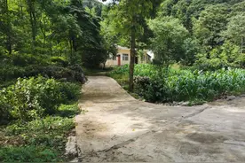 探访贵州深山的一户人家：年轻人外出打工，老年人种玉米为生图片